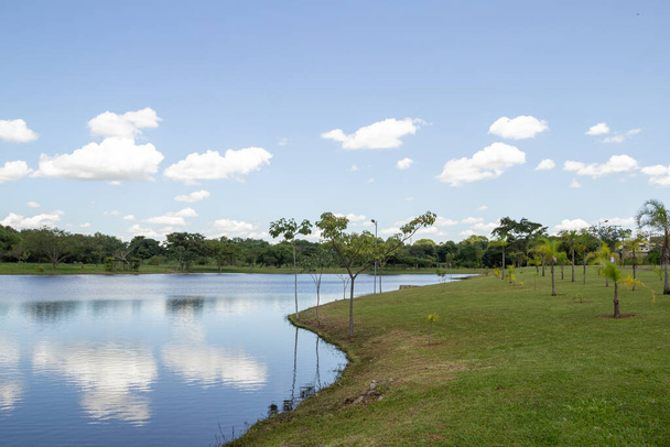 Landscape of a very wooded park and a lake, in the city of Goiania. Leolidio di Ramos Caiado Park. - Photo, Image