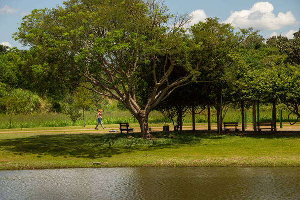 Paisaje de un parque muy arbolado y un lago, en la ciudad de Goiania. Parque Leolidio di Ramos Caiado. - Foto, imagen