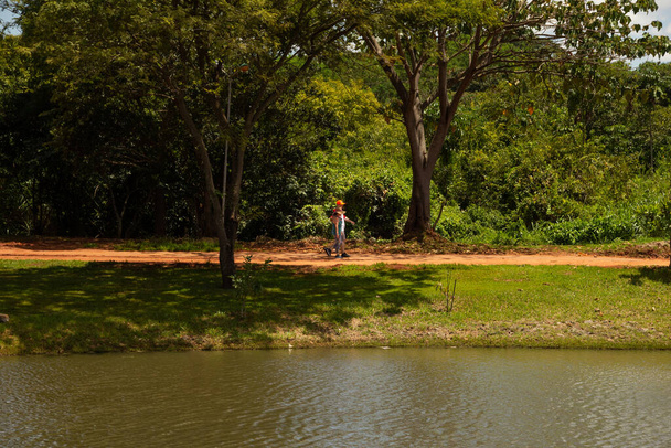 Maisema hyvin metsäinen puisto ja järvi, kaupungin Goiania. Leolidio di Ramos Caiado Park. - Valokuva, kuva