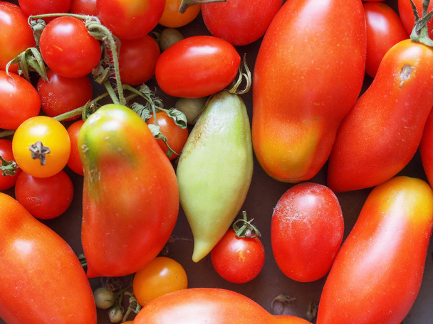 Tomato vegetable - Photo, Image