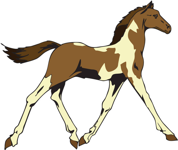 Horse Walking Vector Illustration - Vektor, Bild