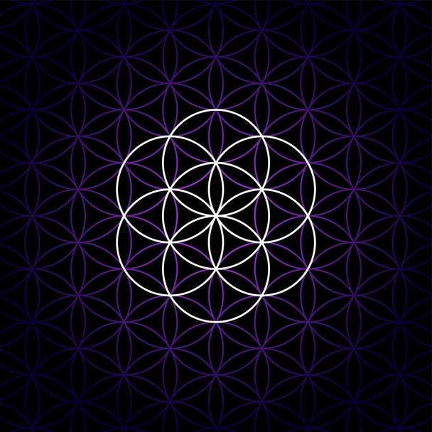 White seed of Life on a dark purple Flower of Life pattern, over black background. Hexagonal arranged circles generate a flower petal pattern. Geometric figure and spiritual symbol of Sacred Geometry. - Vector, Image