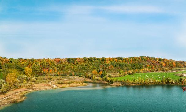 湖の秋の森美しい景色晴れた日 - 写真・画像