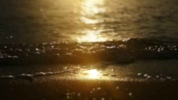 Sunset beach vlna Zpomalený pohyb - Záběry, video
