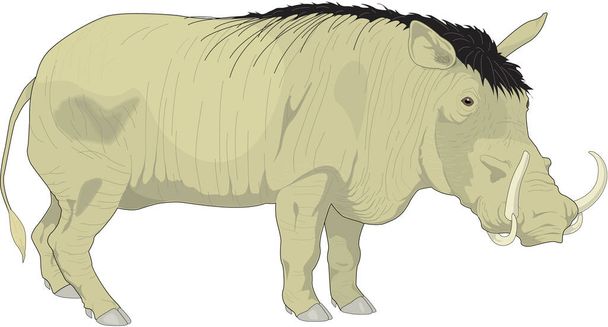 Warthog de pé Vector Ilustração - Vetor, Imagem