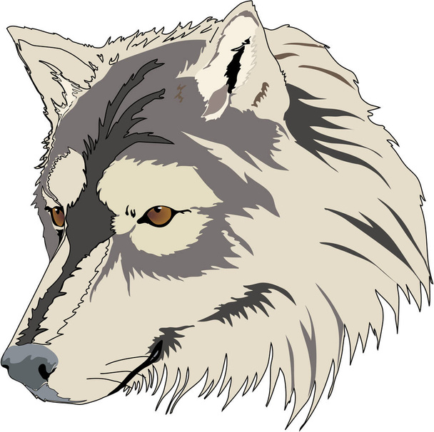 wolf hoofd vector illustratie - Vector, afbeelding