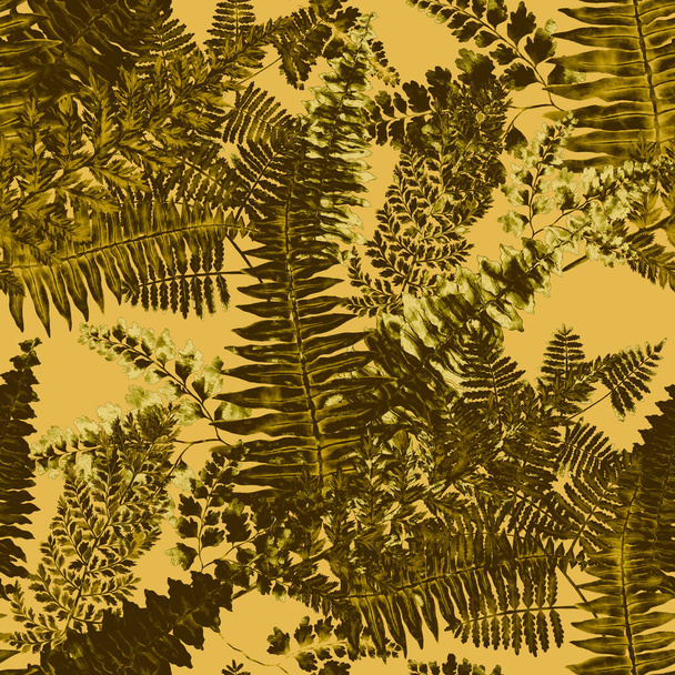 Watercolor seamless pattern with fern leaves. Foliage decoration. Vintage botanical exotic illustration wallpaper. - 写真・画像