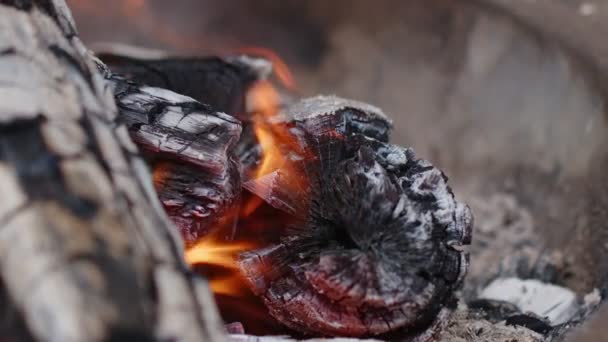 Roble fuego de leña en ceniza y humo  - Metraje, vídeo