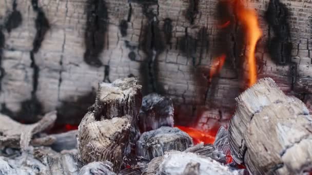 Oheň dubového dřeva v popelu a kouři  - Záběry, video