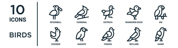 鳥のアイコンセットには、細い線のスプーンビル、ダチョウ、アウ、カカポ、スカイラーク、鷹、レポート用の鶏のアイコン、プレゼンテーション、図、ウェブデザインが含まれています - ベクター画像