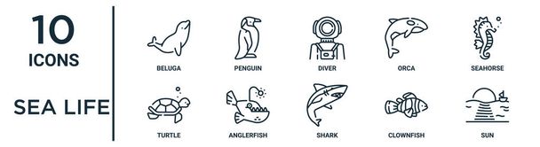 zee leven omtrek pictogram set bevat dunne lijn beluga, duiker, zeepaardje, zeeduivel, clownvis, zon, schildpad pictogrammen voor rapport, presentatie, diagram, web design - Vector, afbeelding