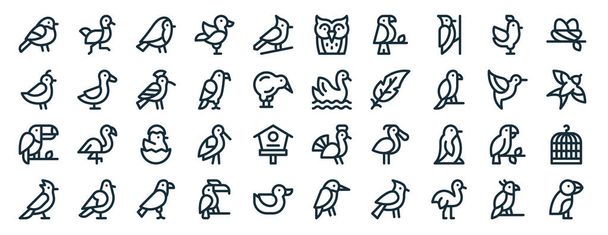 conjunto de 40 iconos delinear aves web como avestruz, codorniz, tucán, alondra, colibrí, nido, iconos de búho para el informe, presentación, diagrama, diseño web, aplicación móvil - Vector, Imagen