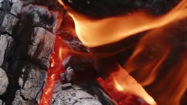 Oheň dubového dřeva v popelu a kouři  - Záběry, video