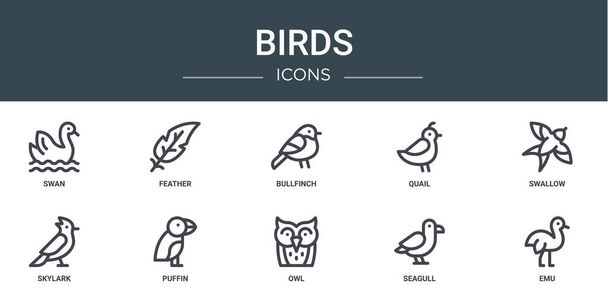 set van 10 outline web birds iconen zoals zwaan, veer, bullfinch, kwartel, zwaluw, skylark, puffin vector iconen voor rapport, presentatie, diagram, web design, mobiele app - Vector, afbeelding