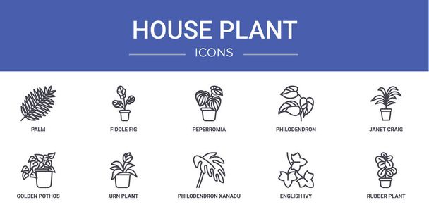 sada 10 osnovy web dům rostlin ikony, jako jsou dlaň, housle fík, peperromie, filodendron, Janet Craig, zlaté pothos, urna rostlina vektorové ikony pro zprávu, prezentace, diagram, web design, mobilní - Vektor, obrázek