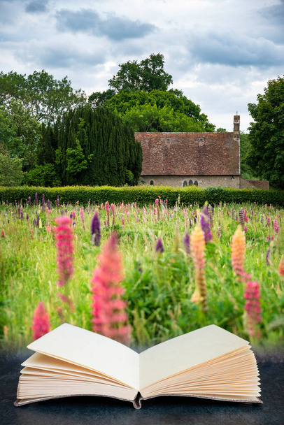 Immagine composita digitale di Beautiful Summer prato di fiori di lupino vibrante nel giardino di campagna inglese che esce dalle pagine del libro di lettura - Foto, immagini