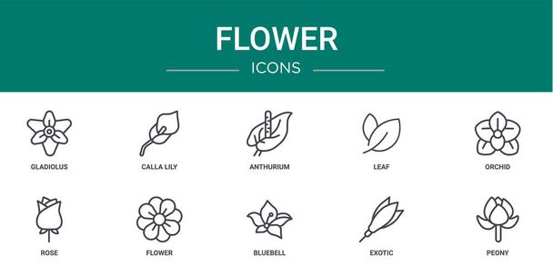 jeu de 10 icônes de fleurs web contour tels que gladiolus, calla lily, anthurium, feuille, orchidée, rose, icônes vectorielles de fleurs pour rapport, présentation, diagramme, conception web, application mobile - Vecteur, image