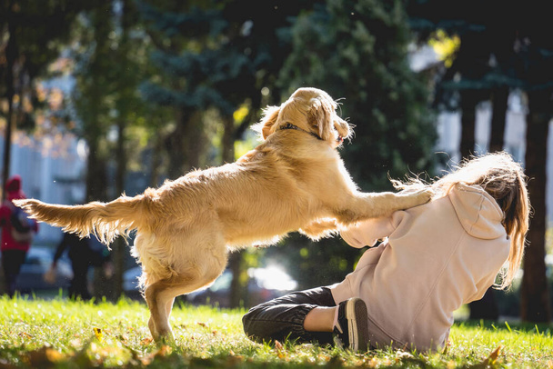 The owner plays the golden retriever dog in the park. - Foto, Imagem