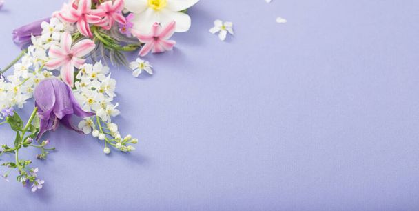 beautiful spring flowers on paper background - Valokuva, kuva