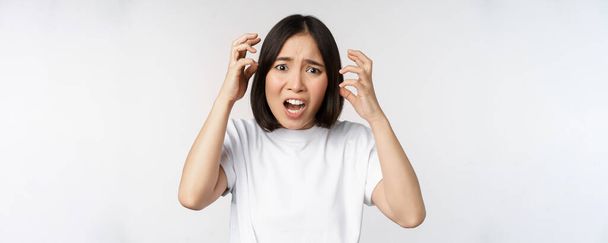 Korean woman freaking out, shaking hands and shouting in panic, screaming worried, standing over white background - Photo, Image