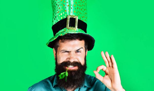 Patricks Day. Smiling man in green hat shows sign ok. Okay gesture. Bearded guy with clover in mouth. - Photo, Image
