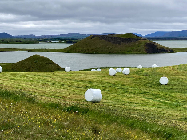 Boeren op Landschap bij Myvatn Lake in IJsland - Foto, afbeelding