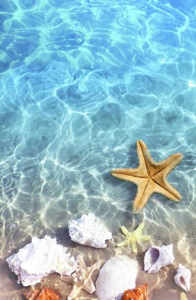 Tengeri csillag a nyári tengerparton, tengervízben. Nyári háttér. Nyári idő. - Fotó, kép