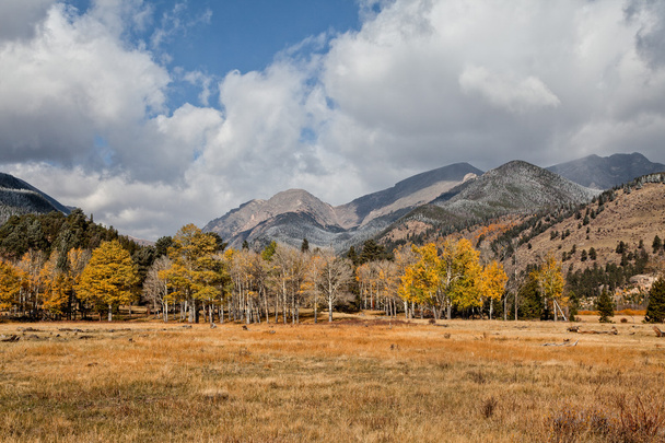 秋の山の風景 - 写真・画像