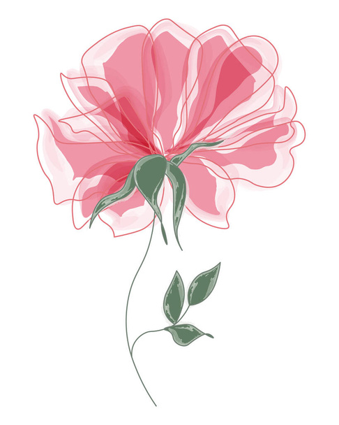 Akvarel ilustrace, akvarel růžový květ na stonku s listy. Wall art, plakát. doporučte webcam - Vektor, obrázek