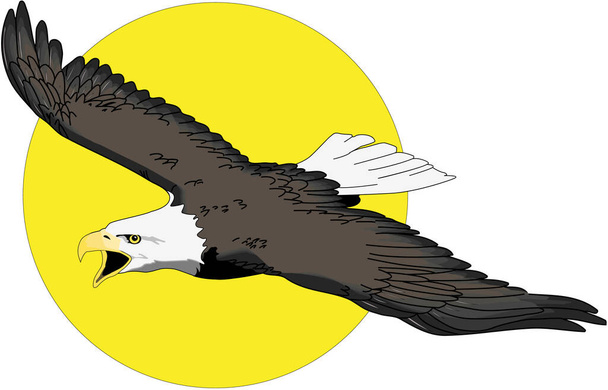 Eagle Flying with Sun Vector Illustration - Vector, Image