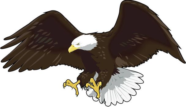 Eagle Landing Vector Ilustração - Vetor, Imagem