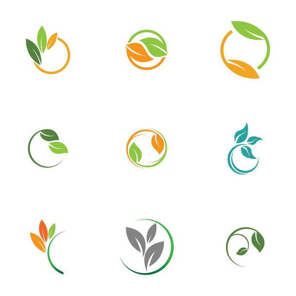 Folha vetor ícone definido isolado no fundo branco. Várias formas de folhas verdes de árvores e plantas. Elementos para logotipos ecológicos e biológicos - Vetor, Imagem