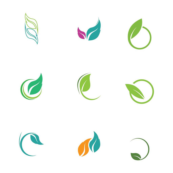 Hoja icono vector conjunto aislado sobre fondo blanco. Varias formas de hojas verdes de árboles y plantas. Elementos para logotipos ecológicos y biológicos - Vector, imagen