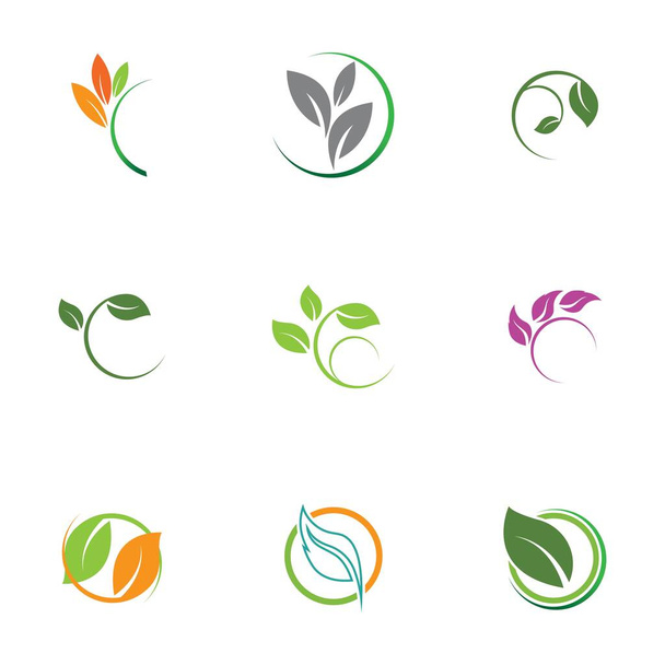 Leaf  icon vector set isolated on white background. Various shapes of green leaves of trees and plants. Elements for eco and bio logos - Vektor, obrázek