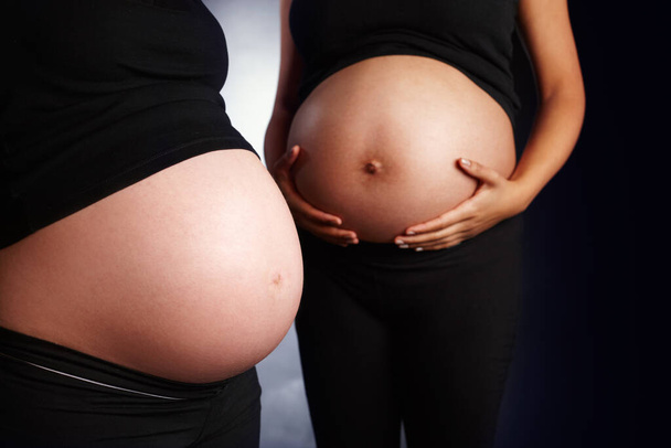 新しい生活を送る。裸の妊婦の胃と白人女性の裸の妊娠中の胃の閉鎖. - 写真・画像
