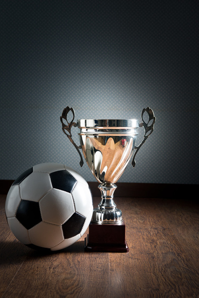 Gold cup trophy and soccer ball - Φωτογραφία, εικόνα