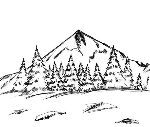 táj hegyek és karácsonyfák - grafikus kép - Fotó, kép