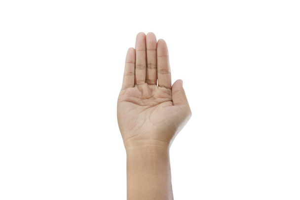 Handzeichen isoliert auf weißem Hintergrund - Wege schneiden - Foto, Bild