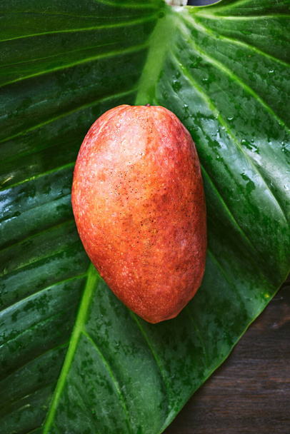 Mango maduro con piel roja - Foto, Imagen