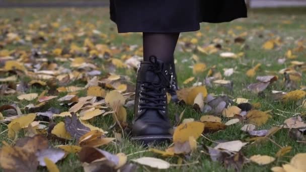 Una mujer con botas negras de suela alta camina a través de hojas amarillas de otoño, en cámara lenta. Una mujer camina en el parque de otoño, zapatos de moda - Imágenes, Vídeo