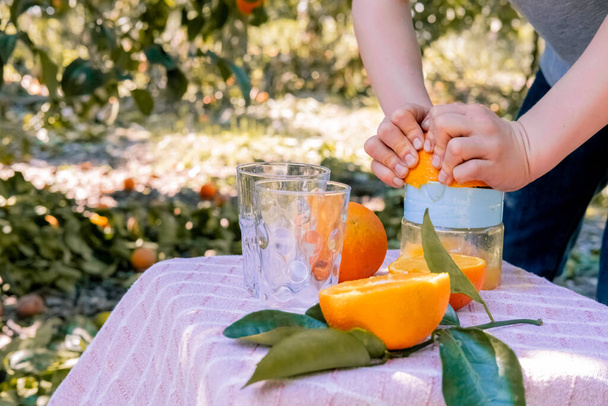 Niño haciendo jugo de naranja recién exprimido contra el telón de fondo de un jardín de cítricos. Chico manos exprimiendo jugo de naranja de naranjas frescas con un exprimidor. - Foto, imagen