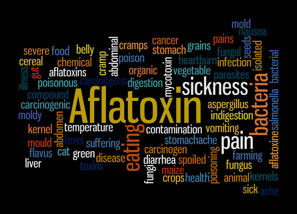 Word Cloud with AFLATOXIN concept, isolated on a black background. - Photo, Image
