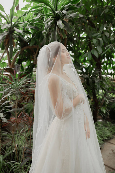 Elegante bruid in een trouwjurk. Lange sluier. - Foto, afbeelding