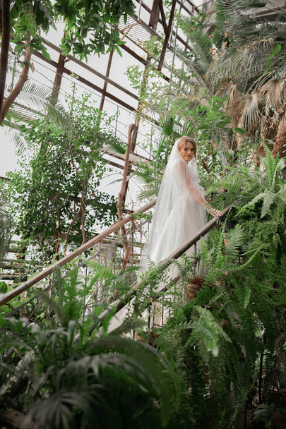 Elegant bride in a wedding dress. Long veil. - Фото, изображение