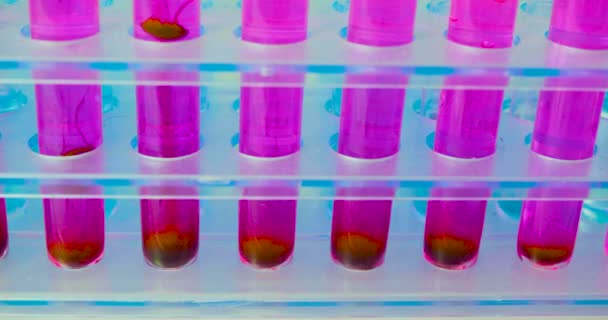 Investigación en el campo de la inmunología moderna - gotas de sangre infectada caen en un tubo de ensayo con una solución para la investigación. - Imágenes, Vídeo