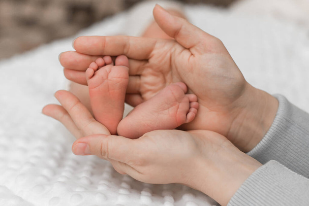 Die Beine der Babys sind in den Händen der Eltern. Das Konzept einer glücklichen Familie. - Foto, Bild