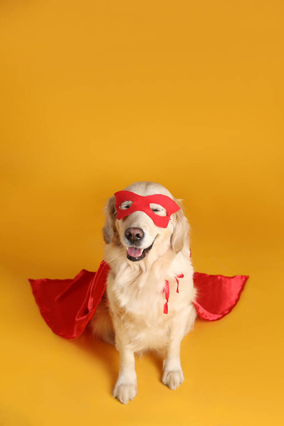 Adorable dog in red superhero cape and mask on yellow background - Фото, изображение