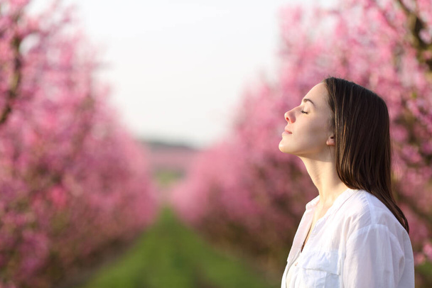 Side view portrait of a satisfied woman breathing fresh air in a beautiful pink field - Фото, изображение