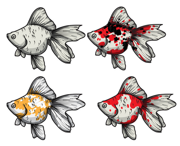 Goldfisch Hand Zeichnung Set Vektor Illustration isoliert auf weißem Hintergrund - Vektor, Bild