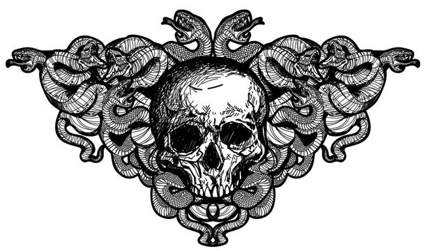 tetoválás művészet koponya és kígyók kézi rajz - Vektor, kép